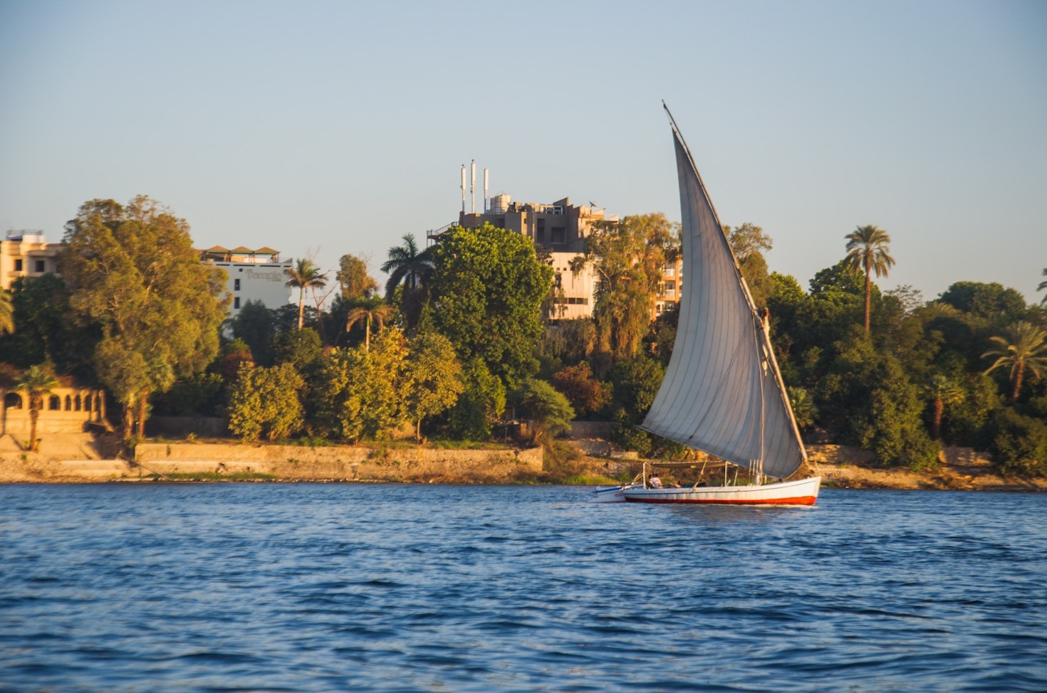 Behind the Scenes: National Nile Cruises’ Expertise